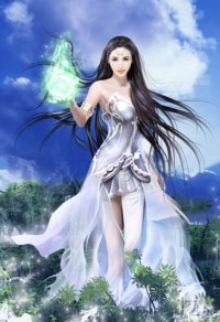 最佳上门女婿