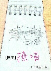 [主網王]撩喵